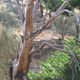 Illustration for article titled Can you detect the stealth animals hiding in all these pictures?